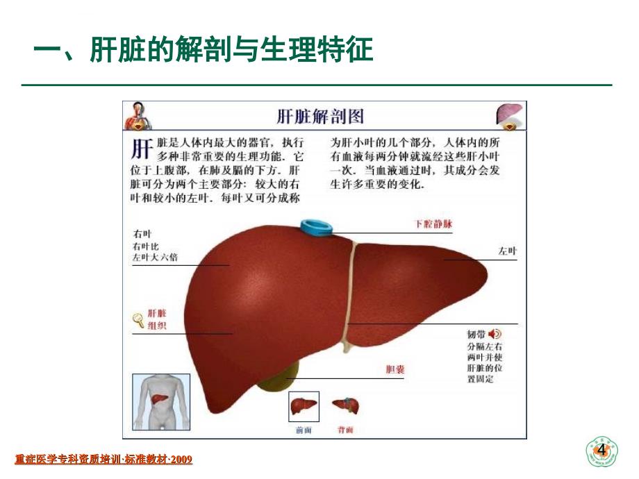 重症患者的急性肝损伤与急性肝衰竭课件_第3页