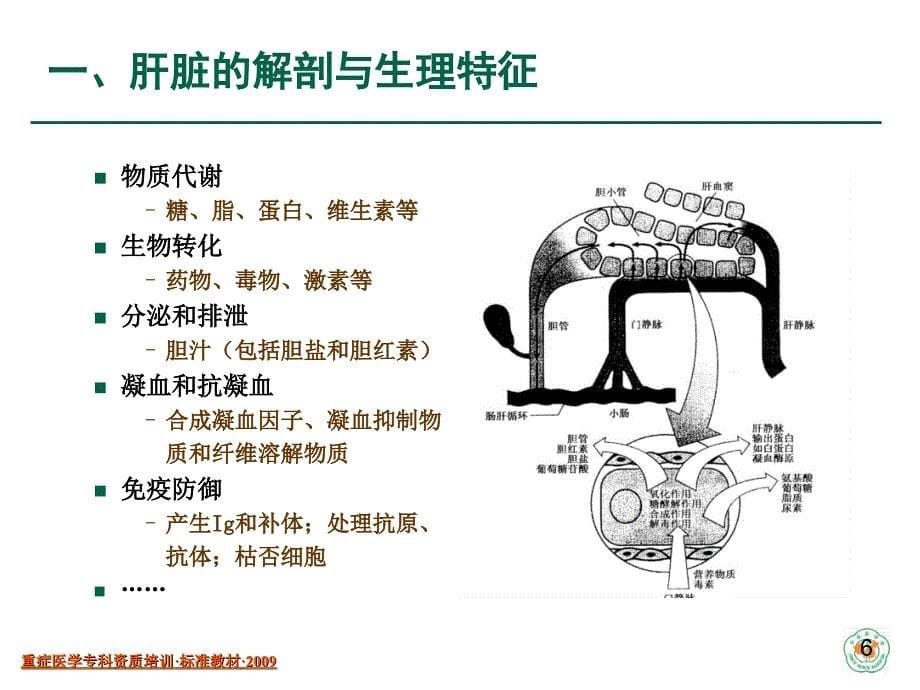 重症患者的急性肝损伤与急性肝衰竭课件_第5页