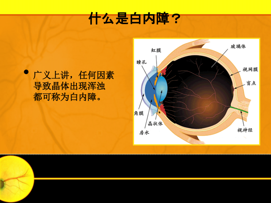 医学--糖尿病眼病第四讲_第3页