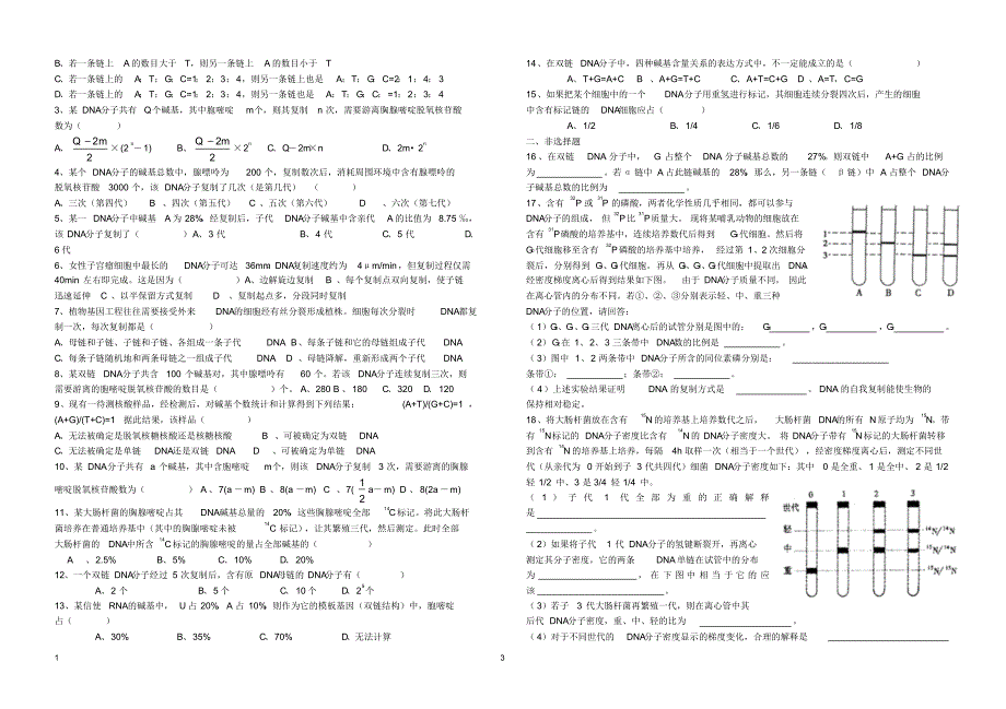 DNA结构和复制练习题80_第3页