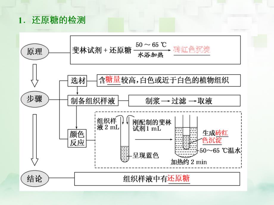 2019版高考生物一轮复习第一部分分子与细胞第一单元细胞及其分子组成第三讲检测生物组织中的糖类、脂肪和蛋白质(实验课)课件_第4页