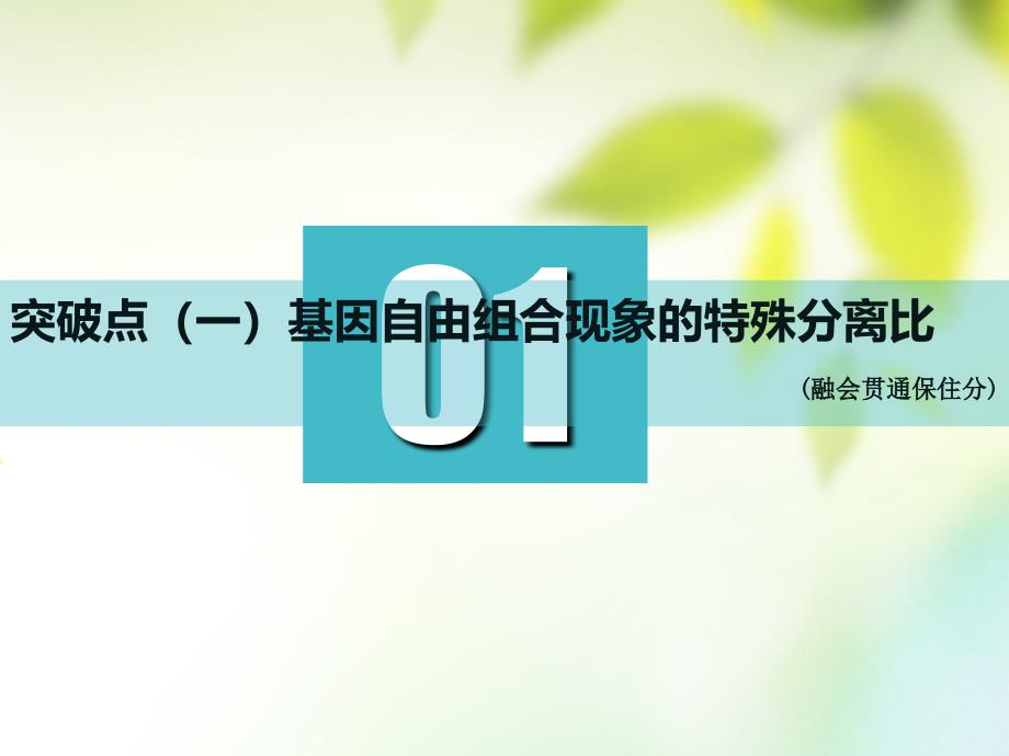 2019版高考生物一轮复习第2部分遗传与进化第一单元遗传的基本规律与伴性遗传第2讲第2课时基因自由组合定律的遗传特例课件_第2页