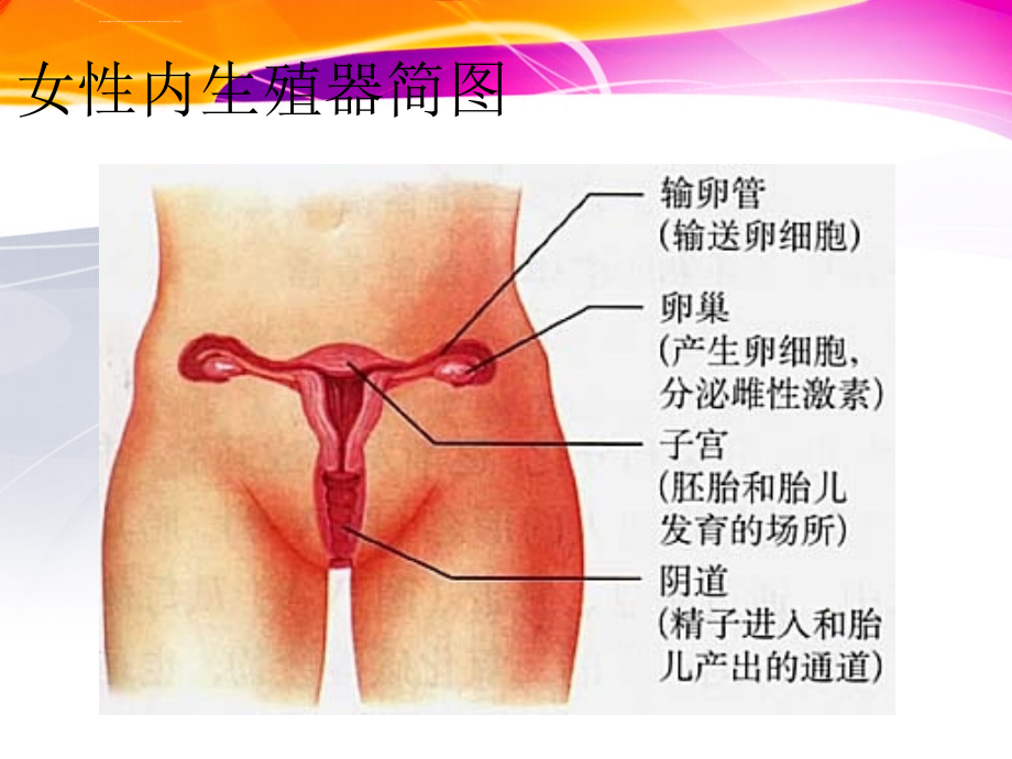 培训资料baison系列超声基础_第3页