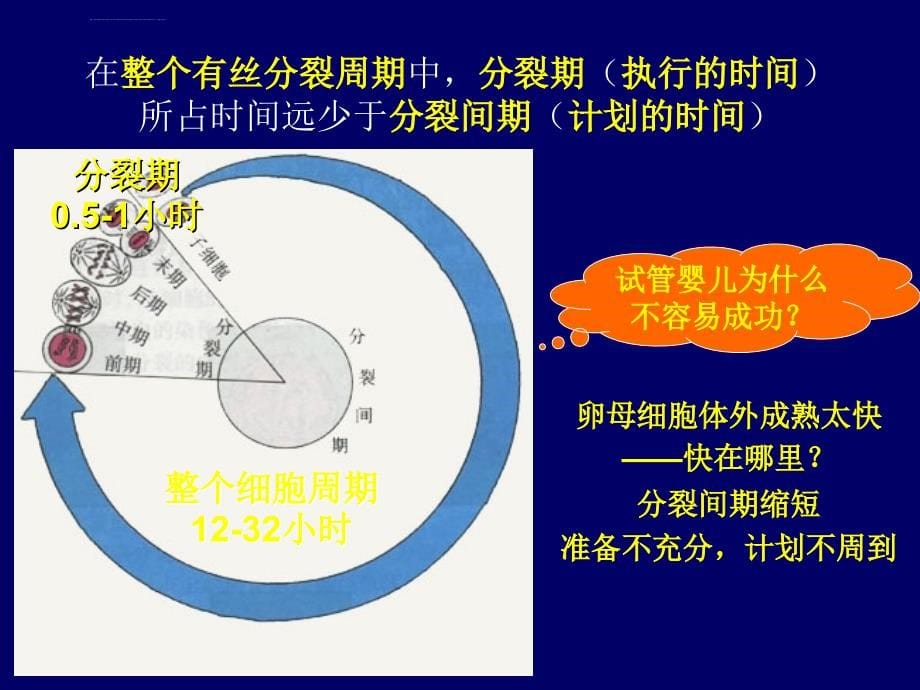 健康教育计划的设计与评价课件_第5页