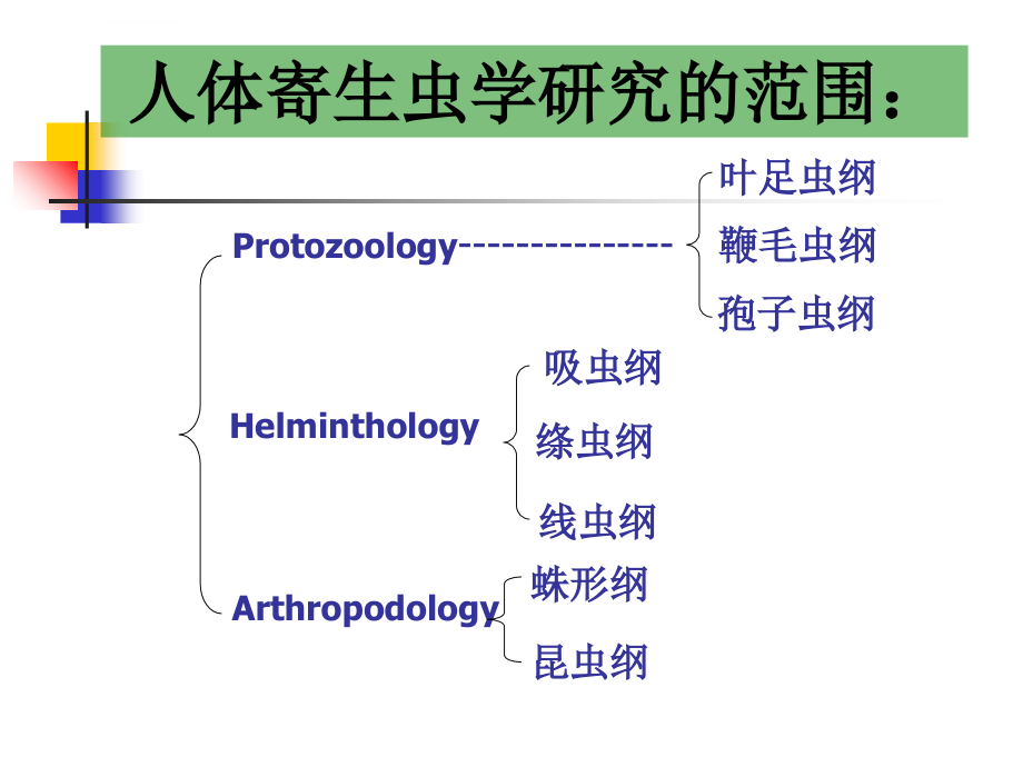 总论蛲虫邹课件_第3页