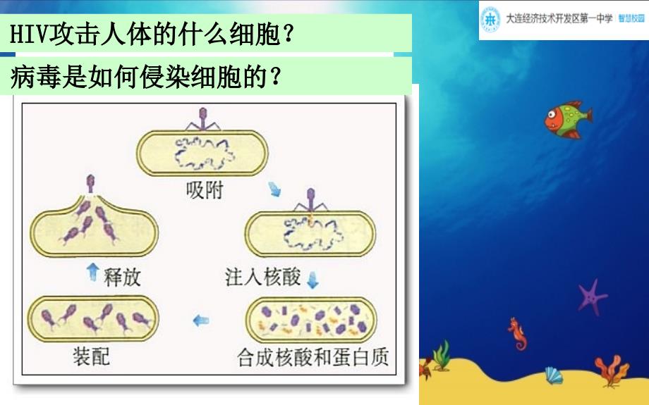 生命活动离不开细胞微课课件_第4页