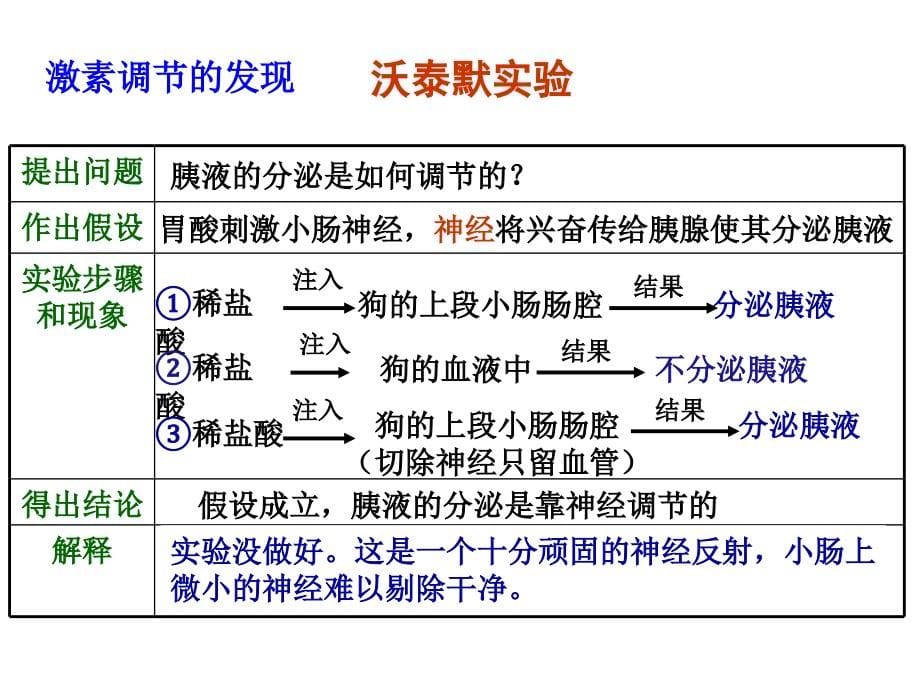 通过激素的调节课件_第5页