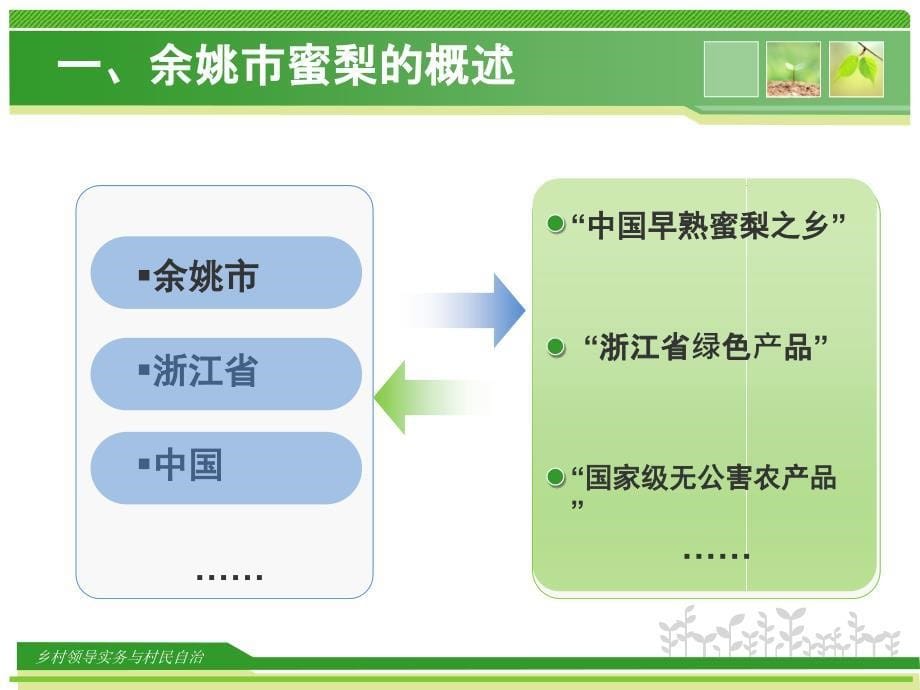 舜水蜜梨课件_第5页