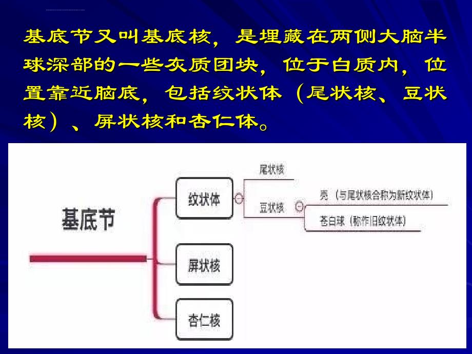 基底节课件_第3页