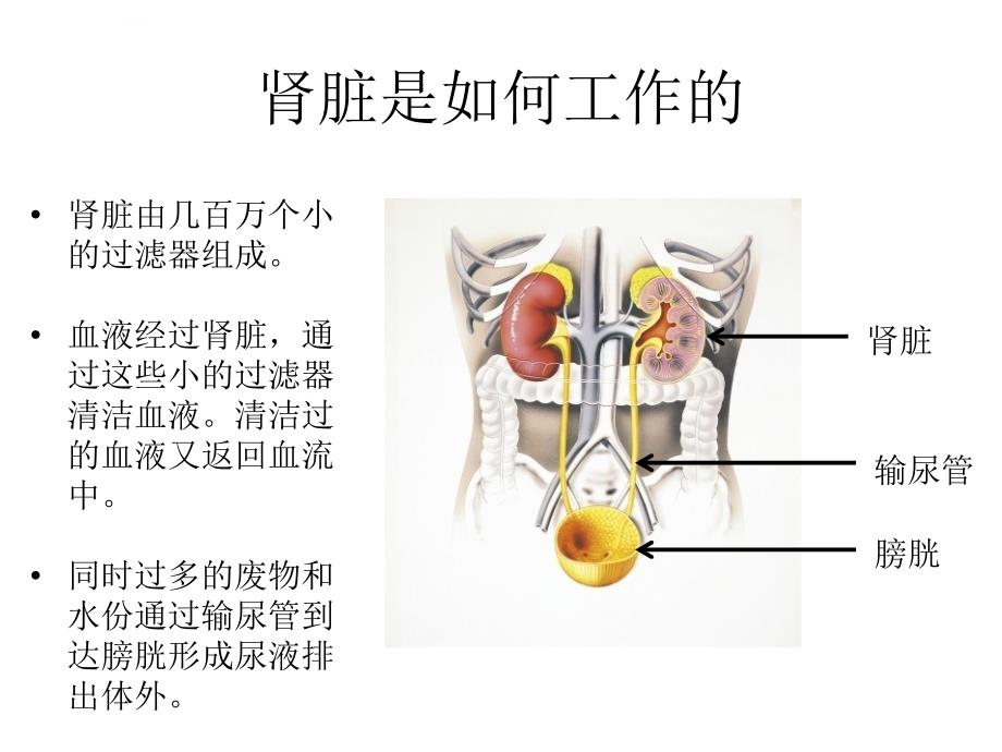 腹透培训课程课件_第3页