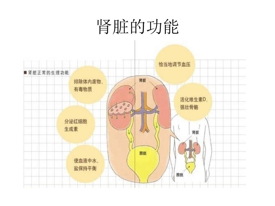 腹透培训课程课件_第4页