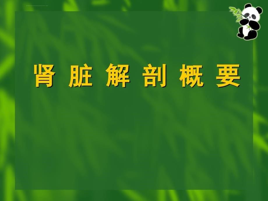 泌尿系统超声诊断欧阳林锋课件_第5页