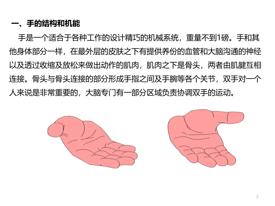 手部防护培训课件_第3页