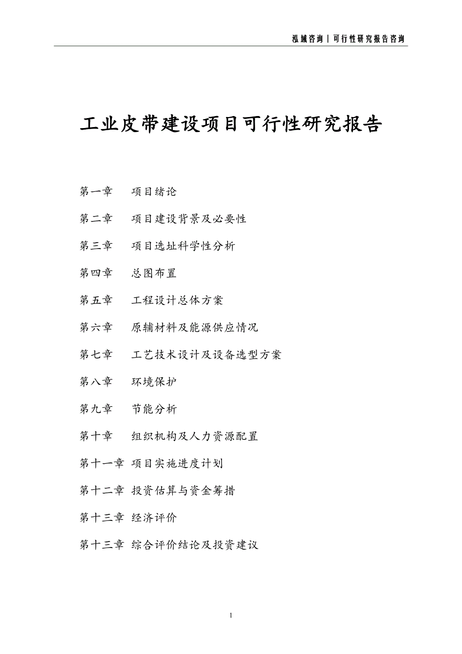 工业皮带建设项目可行性研究报告_第1页