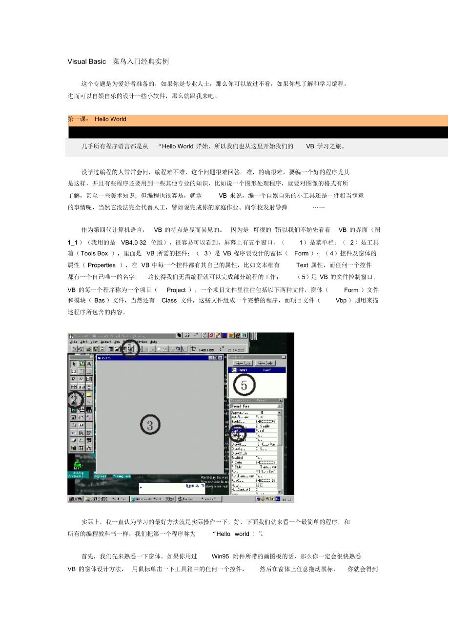 VisualBasic菜鸟入门经典实例_第1页