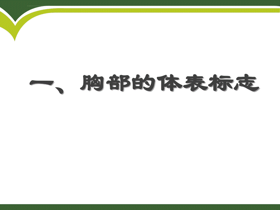 诊断教学胸部查体一课件_第2页