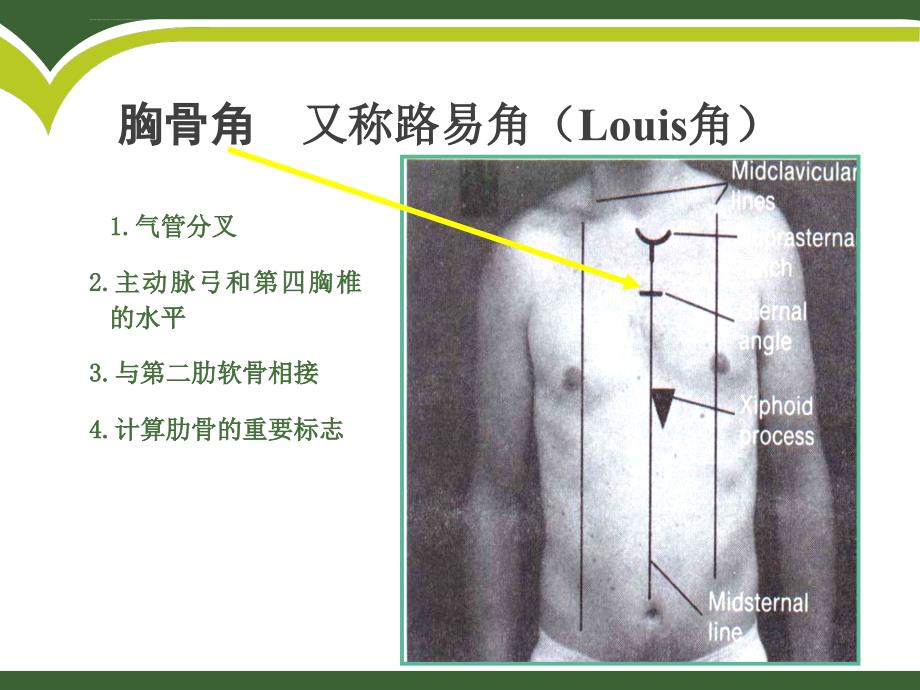 诊断教学胸部查体一课件_第4页