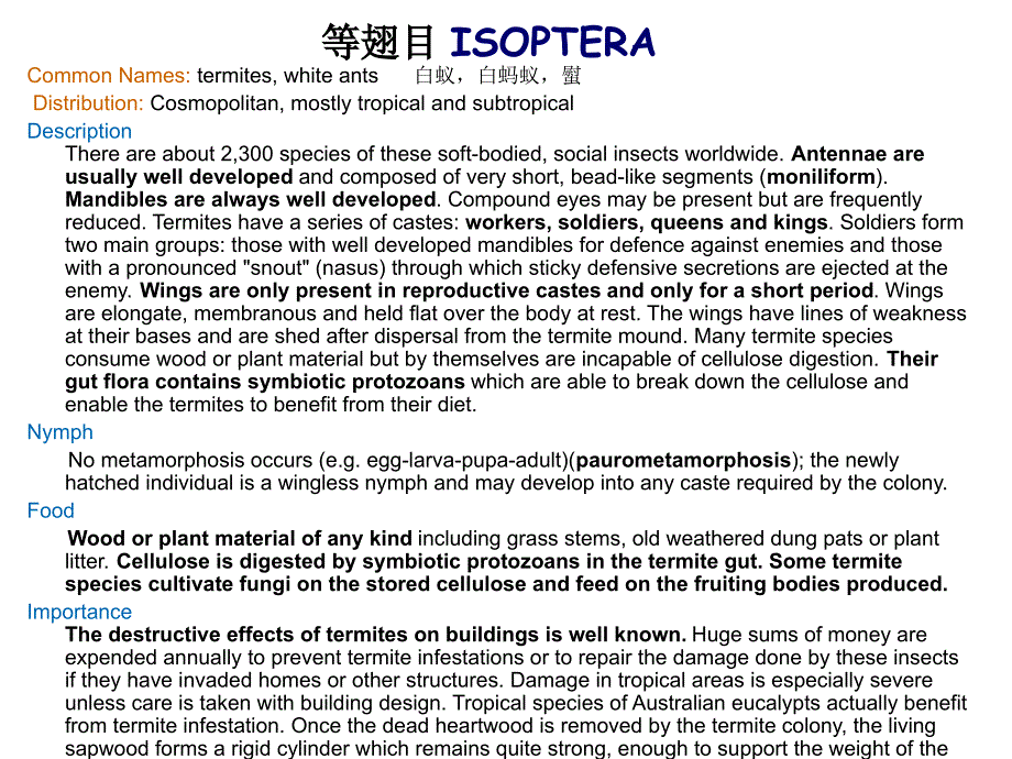 农大昆虫学ppt课件昆虫分类（三）_第4页