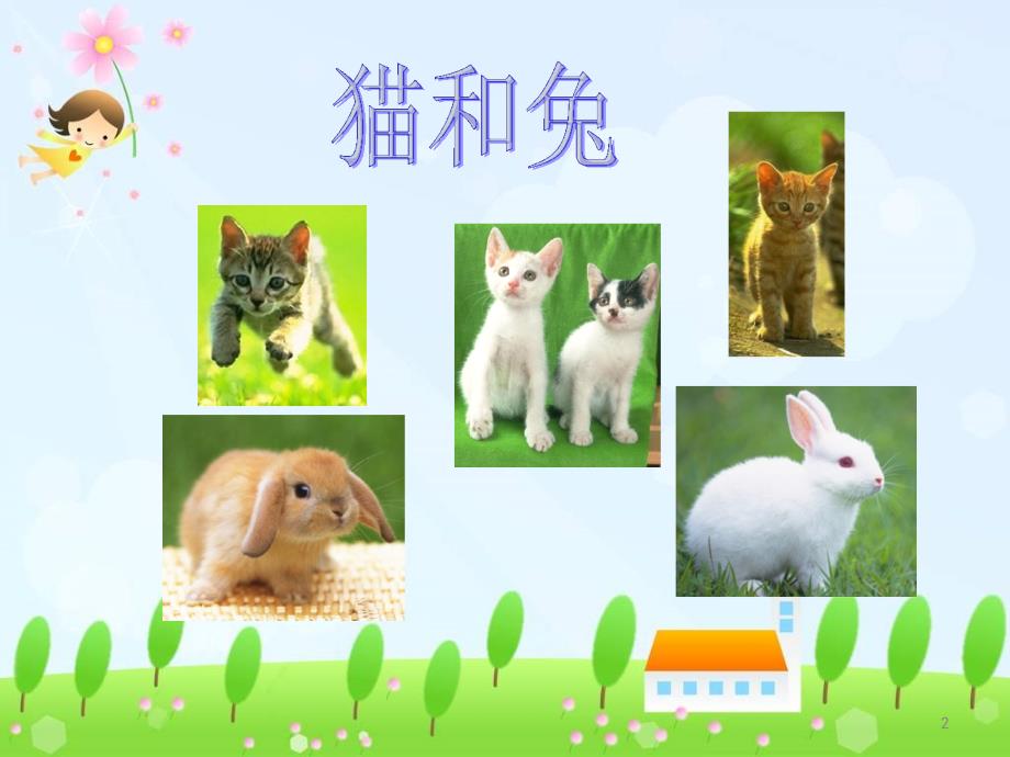 青岛版科学三下《猫和兔》课件三_第2页