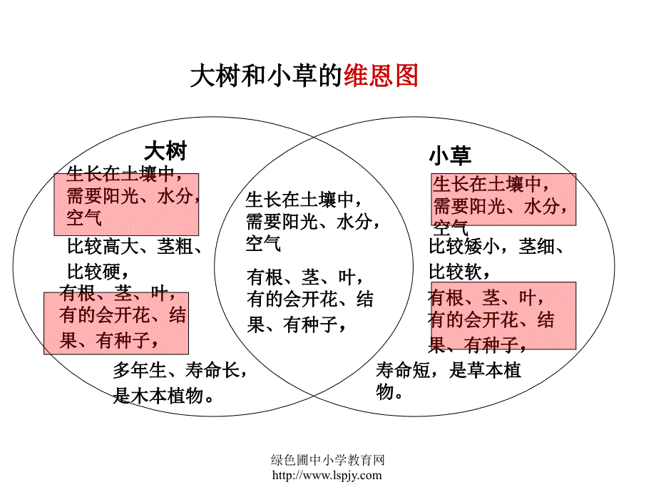 三年级上册科学第一单元观察水生植物课件_第3页