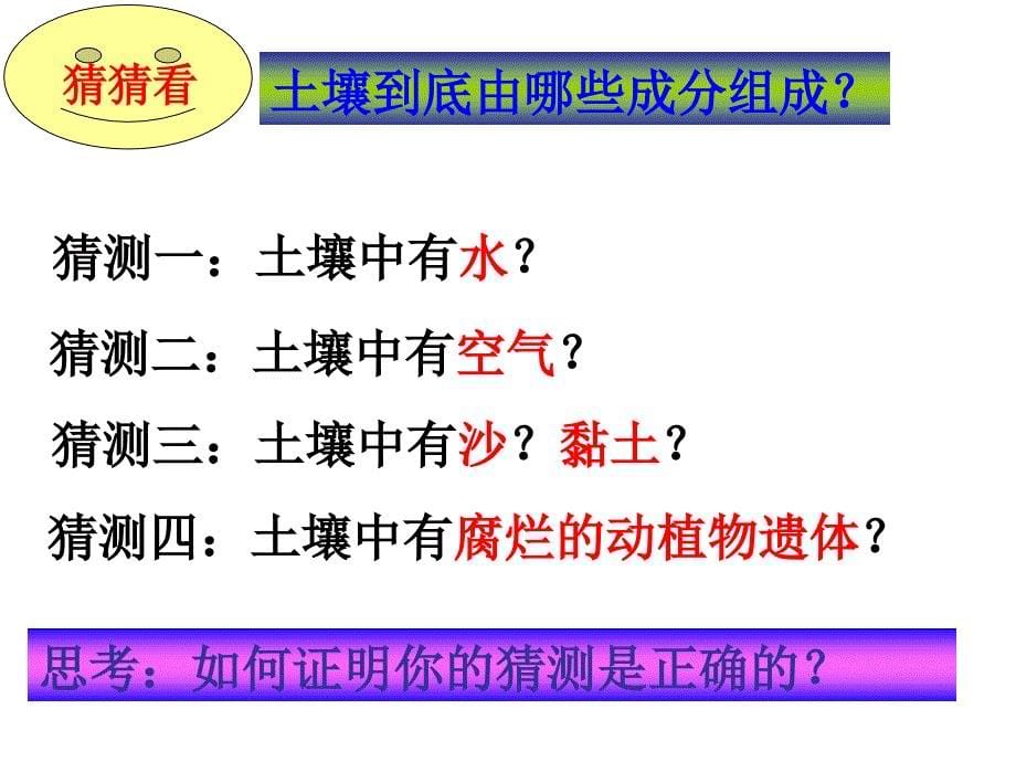 苏教版小三年级科学《了解土壤》_第5页