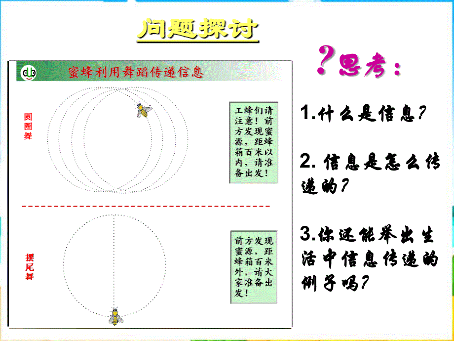 2013人教版必修三第4节《生态系统的信息传递》课件_1_第2页