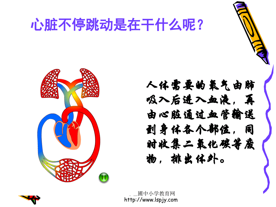 四年级上册科学第四单元跳动起来会怎样二_1_第4页