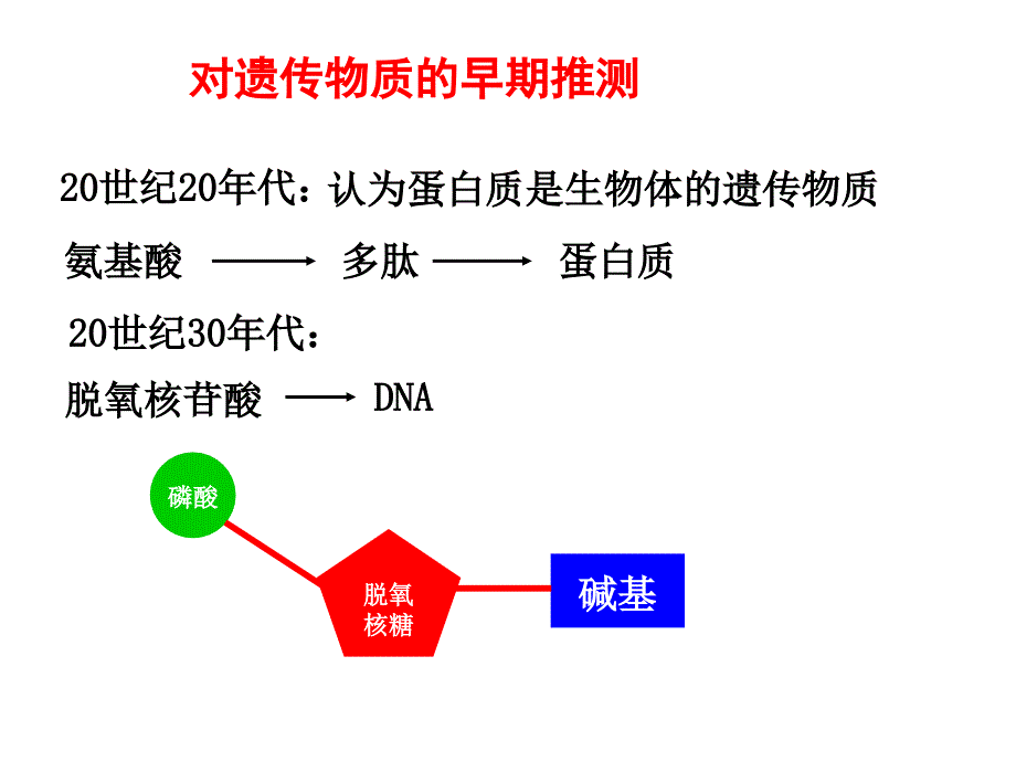 DNA是主要的遗传物质b_第3页
