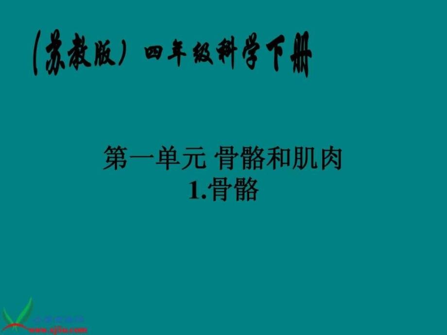 苏教版小学科学四年级下册《骨骼》ppt课件_3_第1页