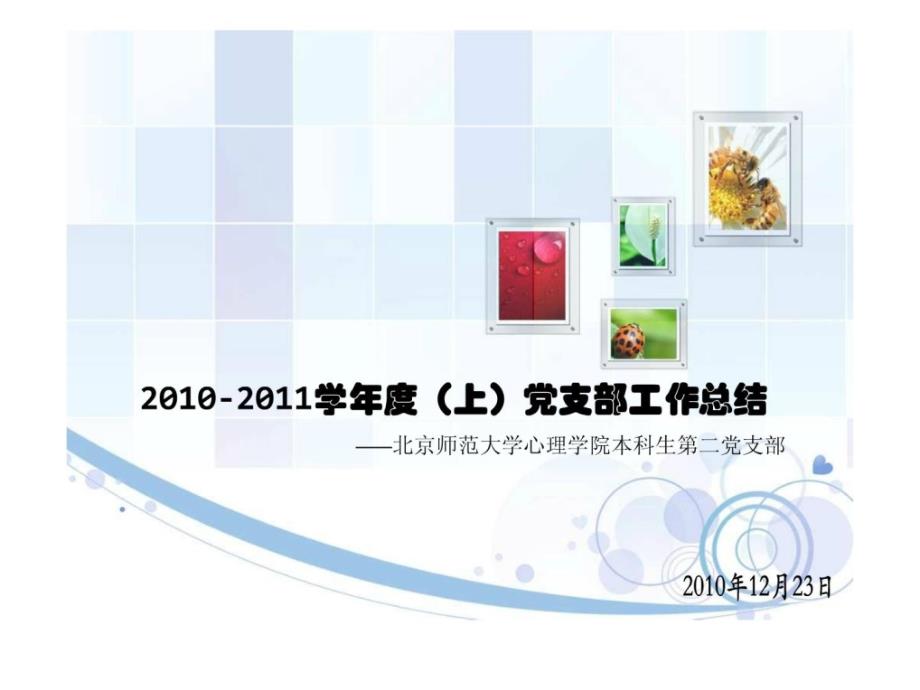 2010-2011学年度(上)党支部工作总结_第1页
