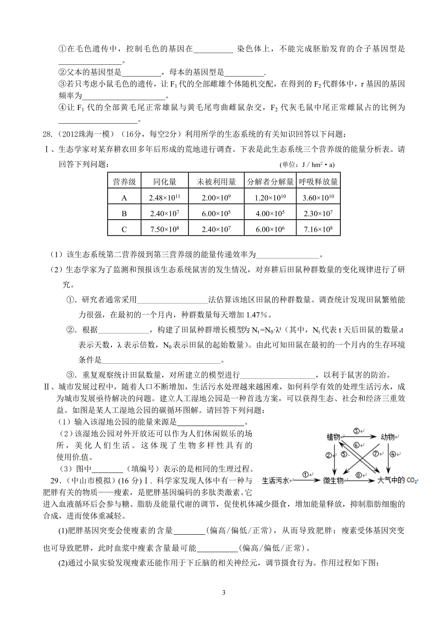 2012届电白一中高三生物综合测试_第3页