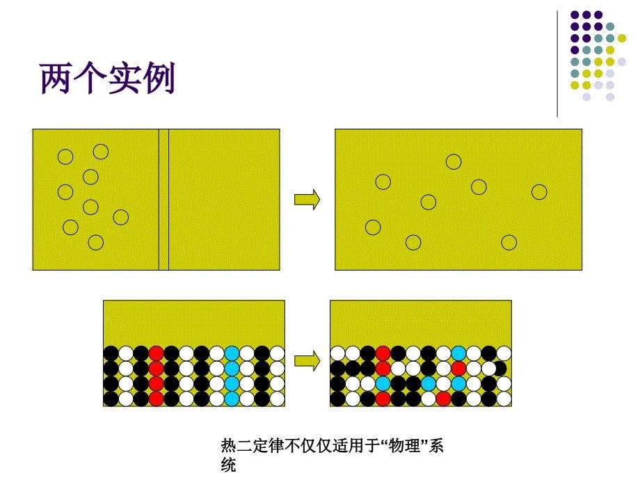 报告ppt-熵与流从复杂到生命_第5页