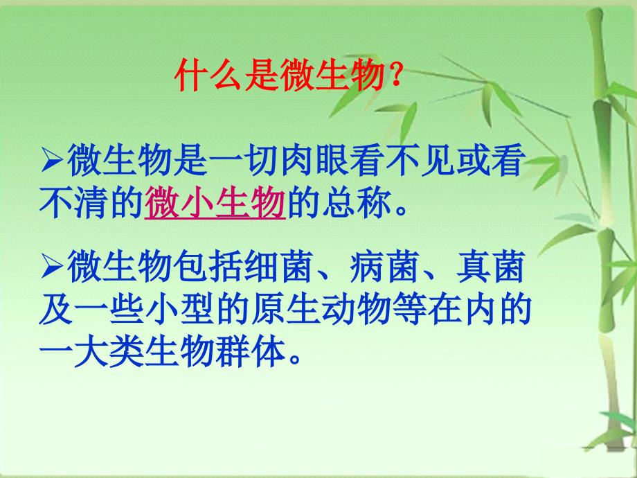 新科教版六级科学下册第单元《用显微镜观察身边的生命世界三ppt课件》_第3页