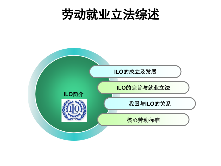 国际就业法律手册_第3页