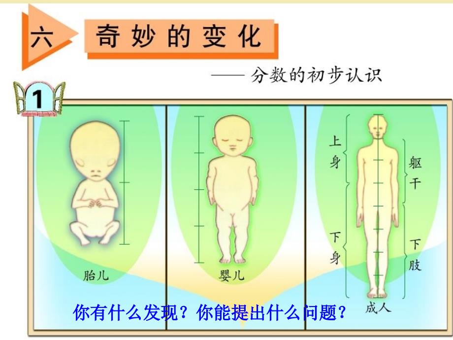 三年级数学上册第六单元第1课时《分数的初步认识》课件台儿庄实验小学田仲粉_第2页