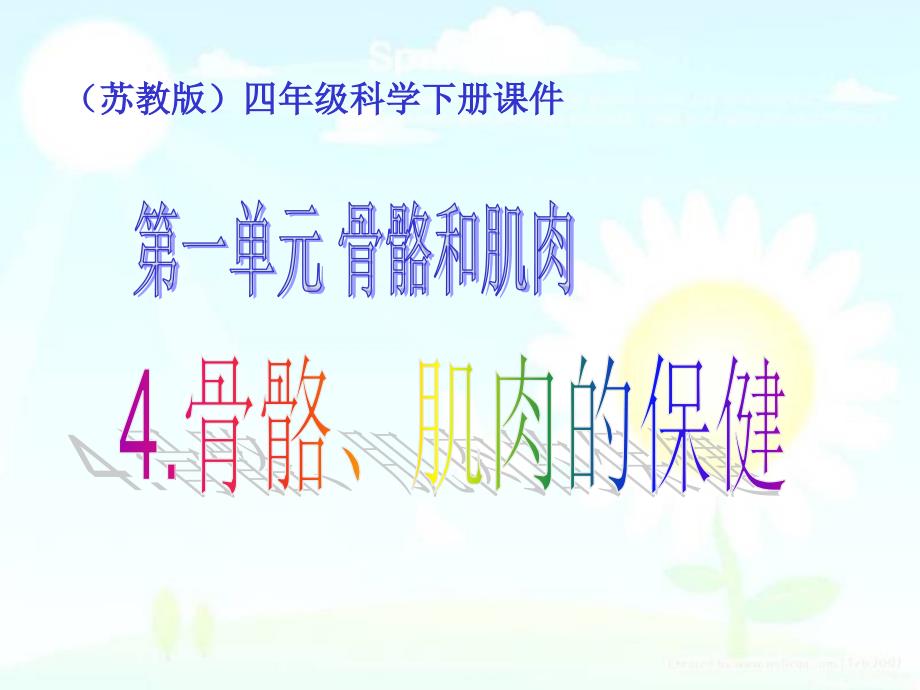 新苏教版四年级下册科学《骨骼肌肉的保护》ppt课件_第1页