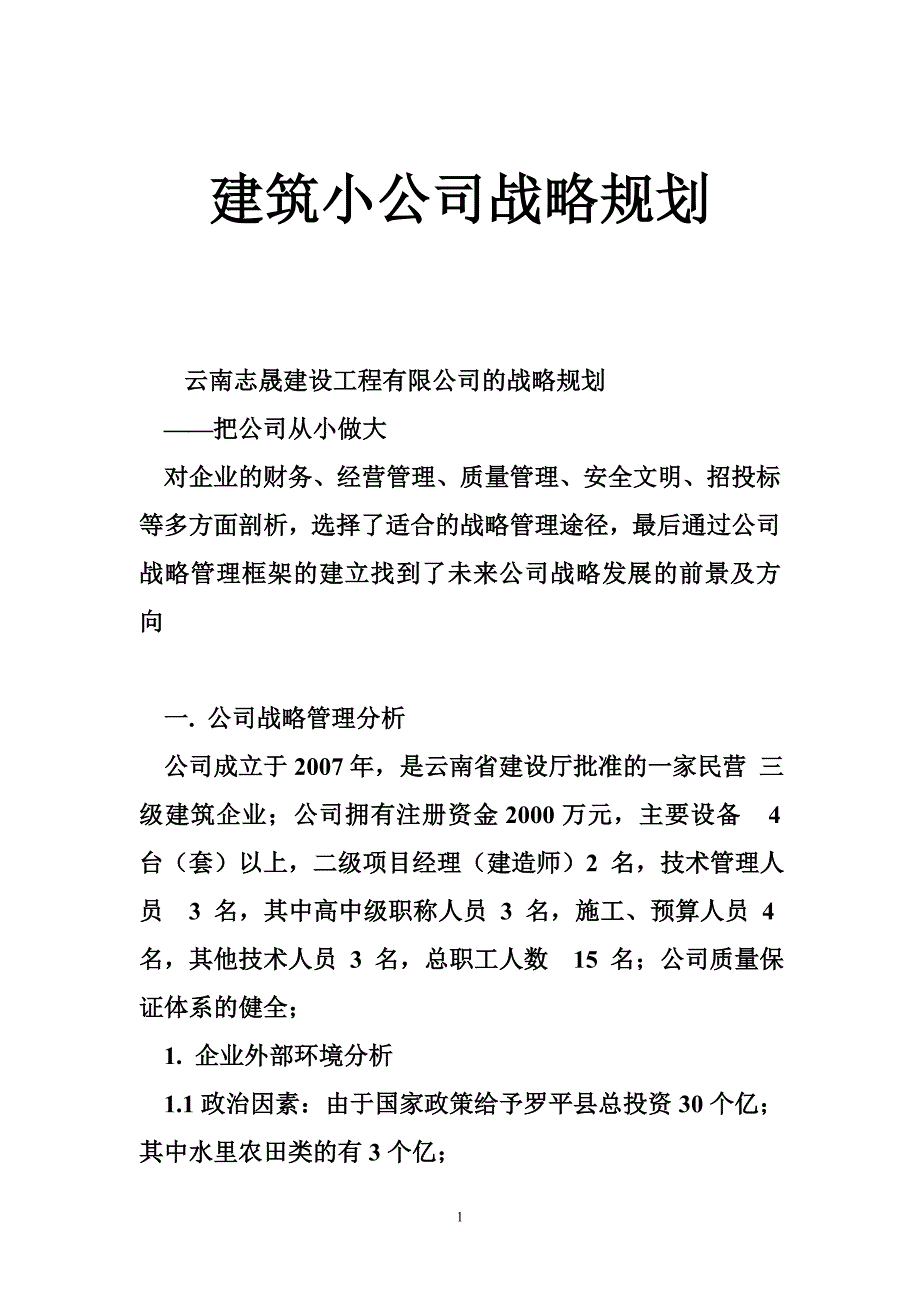 建筑小公司战略规划_第1页