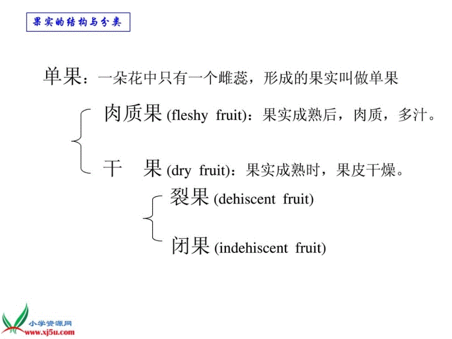 优质文档苏教版小学科技学术三年级下册《果实和种子》ppt课件_第4页