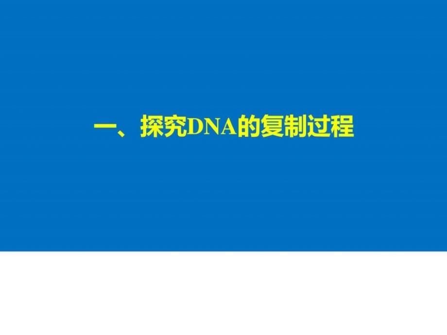 三章遗传的分子基础第三节遗传信息的传递课件浙科版_第5页