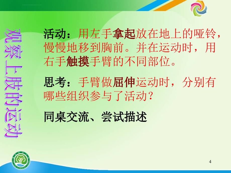 教科版科学四上《骨骼关节和肌肉》课件六_第4页