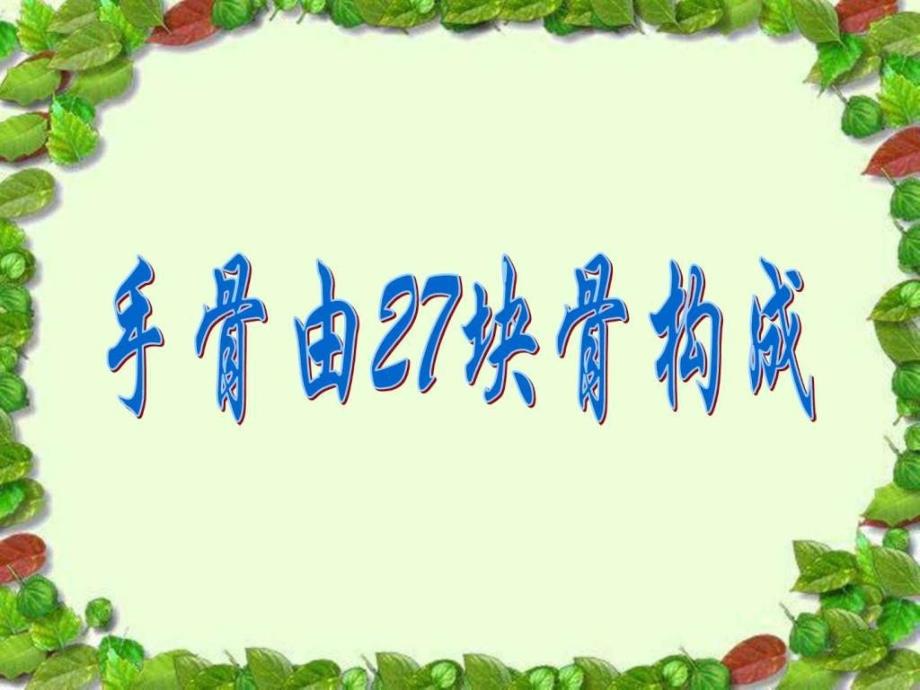 青岛版小学科学三年级下册《骨骼》课件(2)_第4页