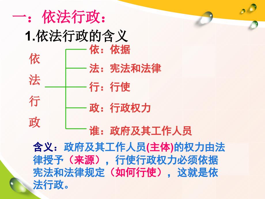 《政府的权力依法行使》上课人教版高一政治下课件_6_第2页