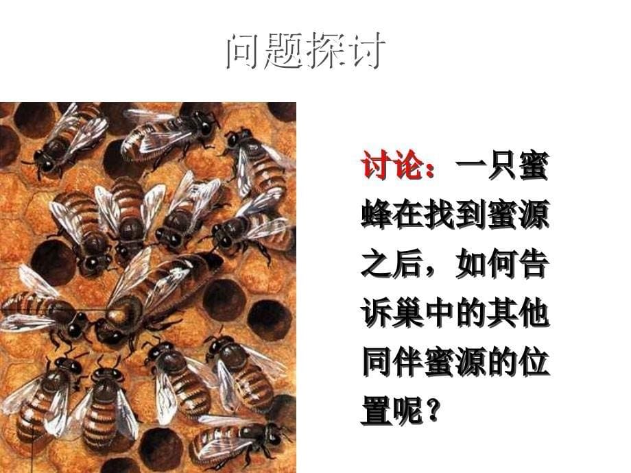 人教版高二生物必修三课件54生态系统的信息传递（共50张）_第5页