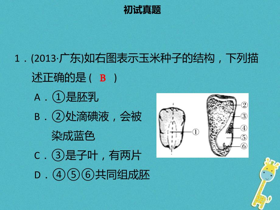 广东省2018中考生物模块三生物圈中的绿色植物第五课时种子萌发及植株的生长课件_第3页