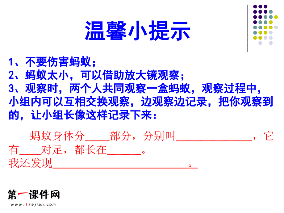 2015小学科学课件蚂蚁（青岛版）三年级科学下册ppt课件_第4页