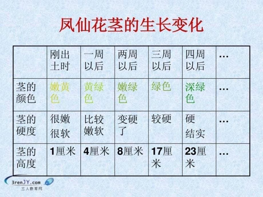 （教科版）三年级科学下册《茎越长越高》教学课件_第5页