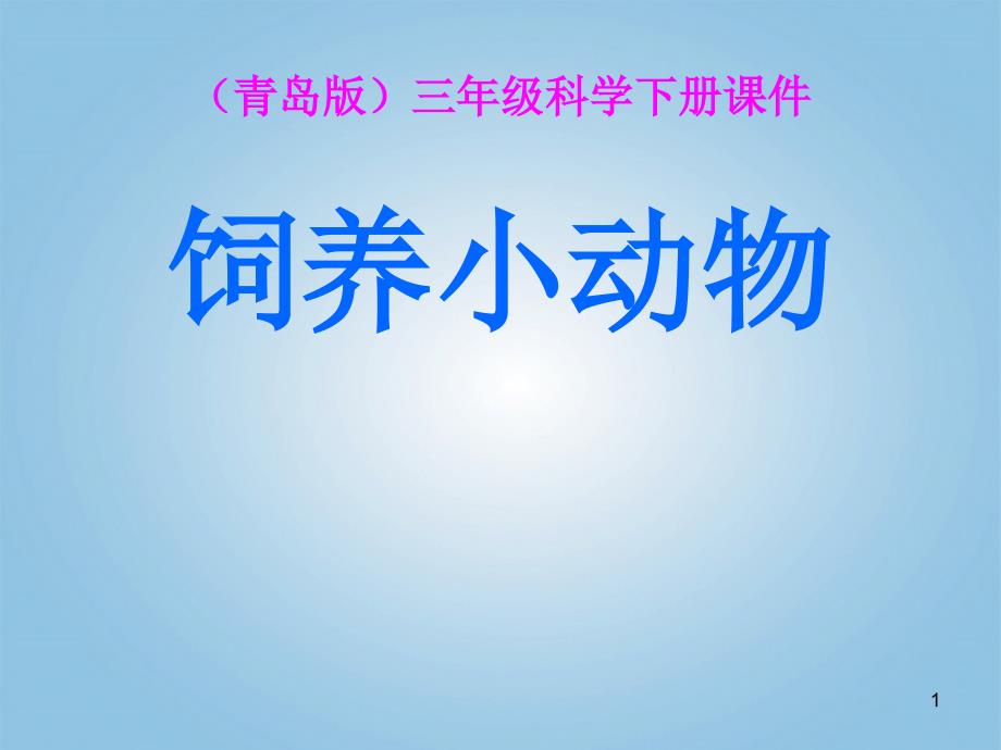 青岛版科学三下《饲养小动物》课件一_第1页