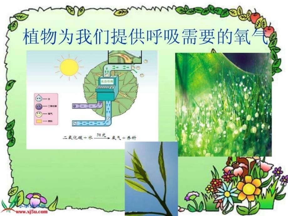 优质文档苏教版小学科学三年级下册《植物和我们》课件_第5页