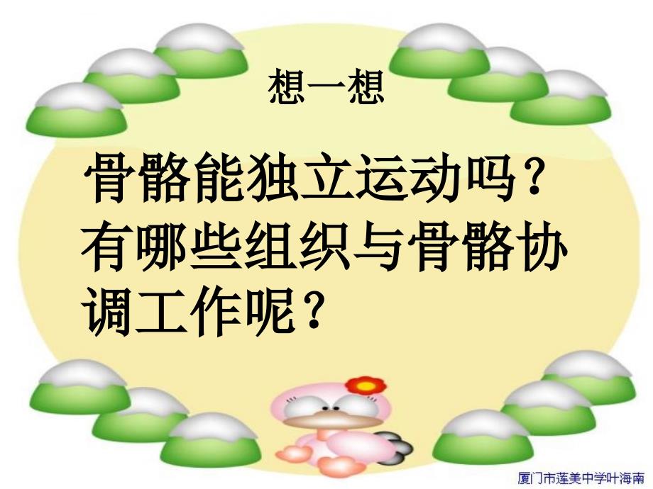 教科版科学四上《骨骼关节和肌肉》ppt课件最新_第3页