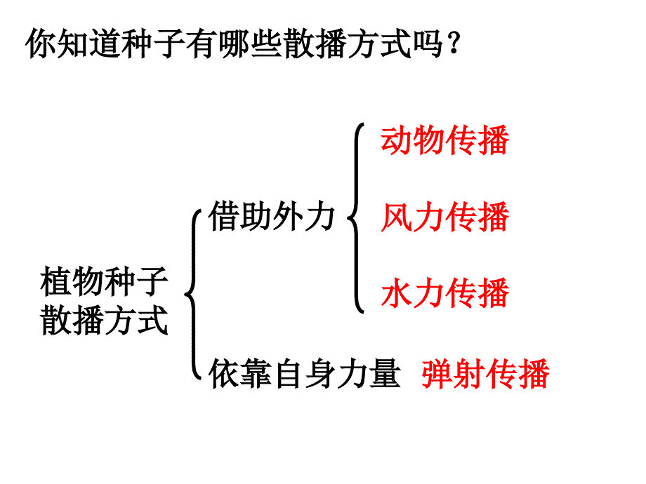 四下二4把种子散播到远处陈建秋ppt教科版四年级下_第3页